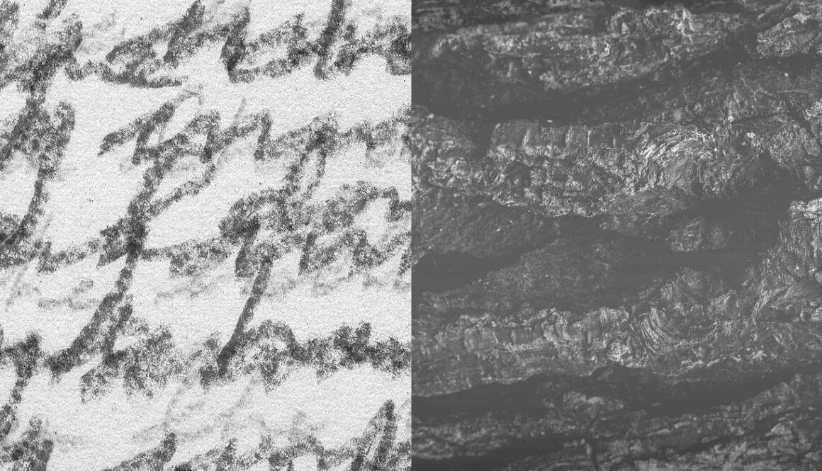 imgonline-com-ua-twotoone-b1lzm4CE4fyEFPnS