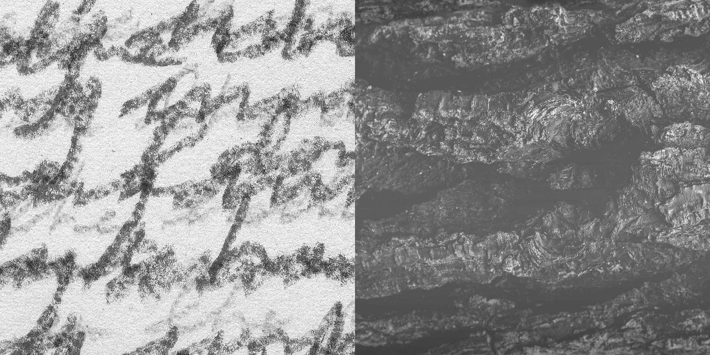 imgonline-com-ua-twotoone-b1lzm4CE4fyEFPnS