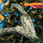 Jean C. Roché, "Birds of Venezuela" (Sub Rosa, 2019) a3810764233_16