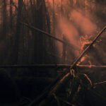 Roly Porter, "Kistvaen" (Subtext, 2020) a3089507137_16