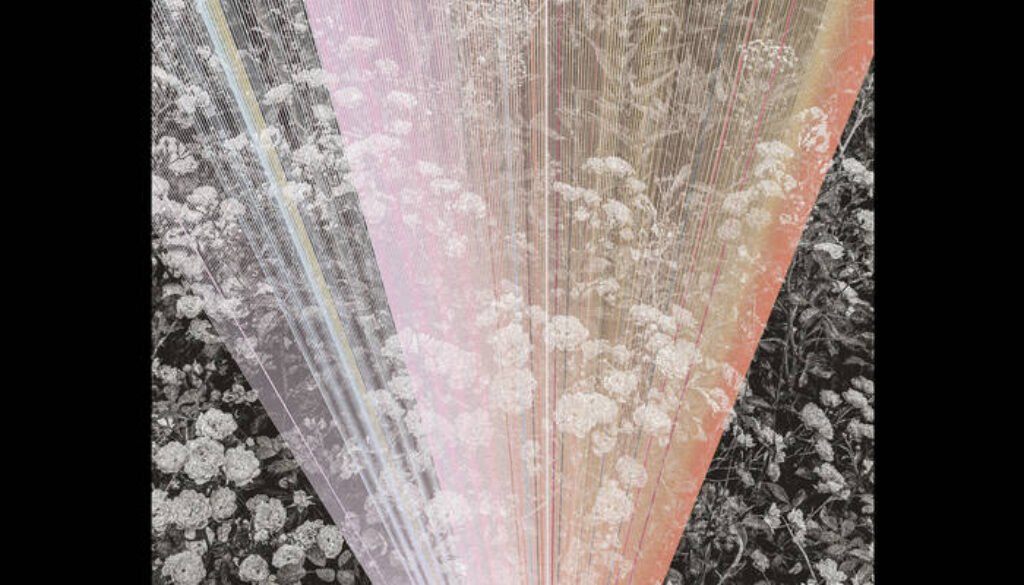 a0339038548_16