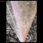 a0339038548_16