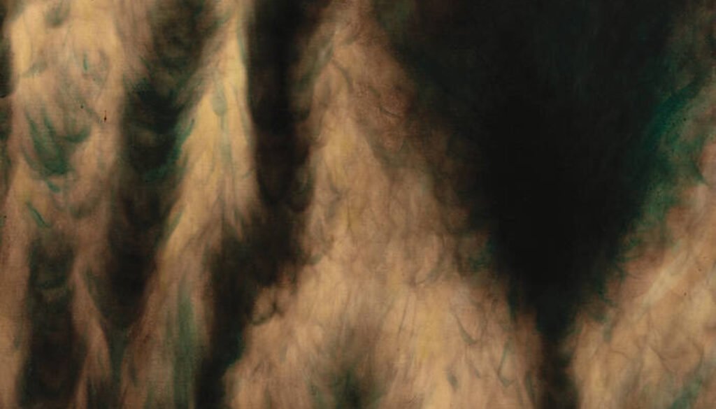 a2967895462_16