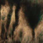 a2967895462_16