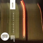 Insect Factory, "Celestial Cycles" (Already Dead, 2022) a3054251560_16
