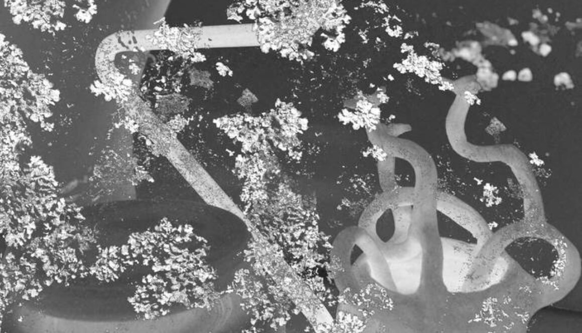 a3421120735_16