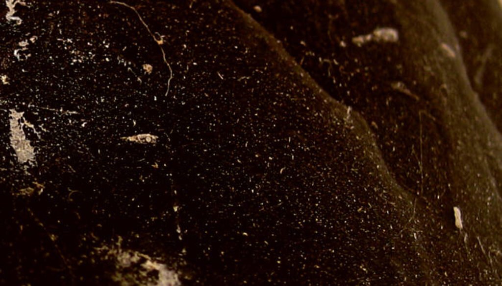 a0846304942_16