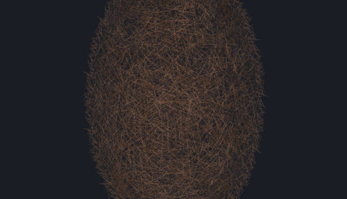 a2347488006_16