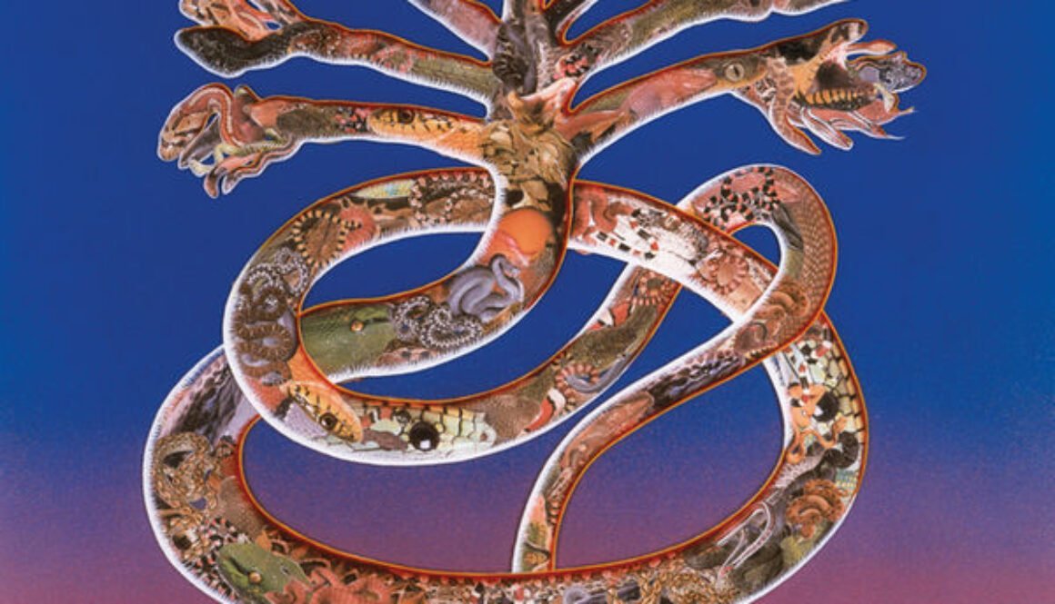 cyclobe-wounded-galaxies-tap-at-the-window-Cover-Art