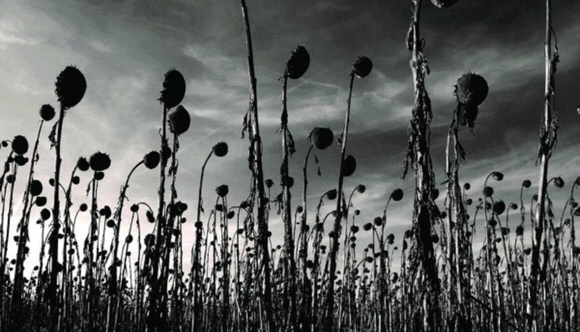 dead-can-dance-anastasis-Cover-Art
