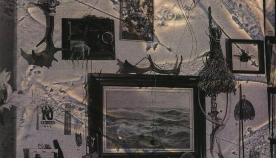 nurse-with-wound-spiral-insana-Cover-Art