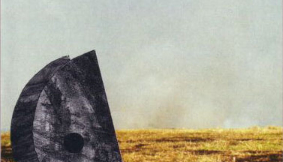 _zoviet_france-shouting-at-the-ground-Cover-Art