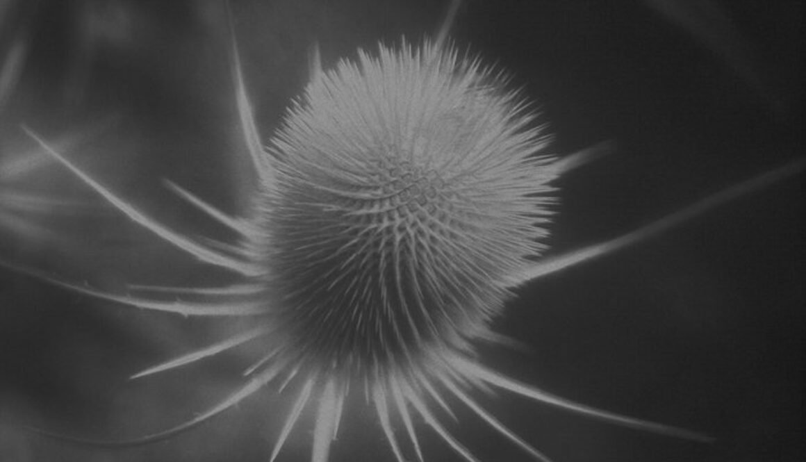 a1896713498_16