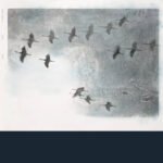 Stephen O'Malley, "Gruidés" (DDF, 2015) a2988510171_16