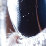 Roly Porter, "Third Law" (Tri Angle, 2016) a3783111967_16