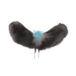 HAYWARDxDÄLEK (Relapse, 2025) a0141645297_16