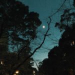 James Blackshaw, "Fractures On The Horizon" (Self-Released, 2026) a0447585541_16