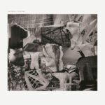 Vanity Productions, "The Vanity Project" (Northern Electronics, 2026) a1558264269_0(1)