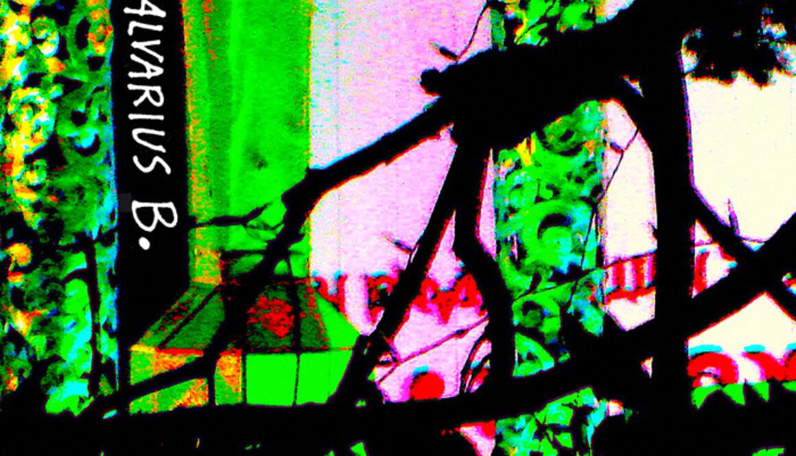 coverart_AlvariusB_MalarialDream(1)